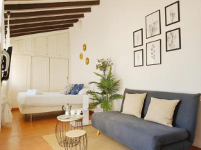 Stunning attic with private terrace and Parking optional